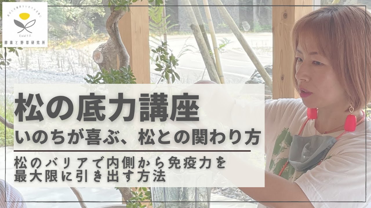 松のことが大好きな人に届け！松のパワーで免疫力を高める方法【松の底力講座】