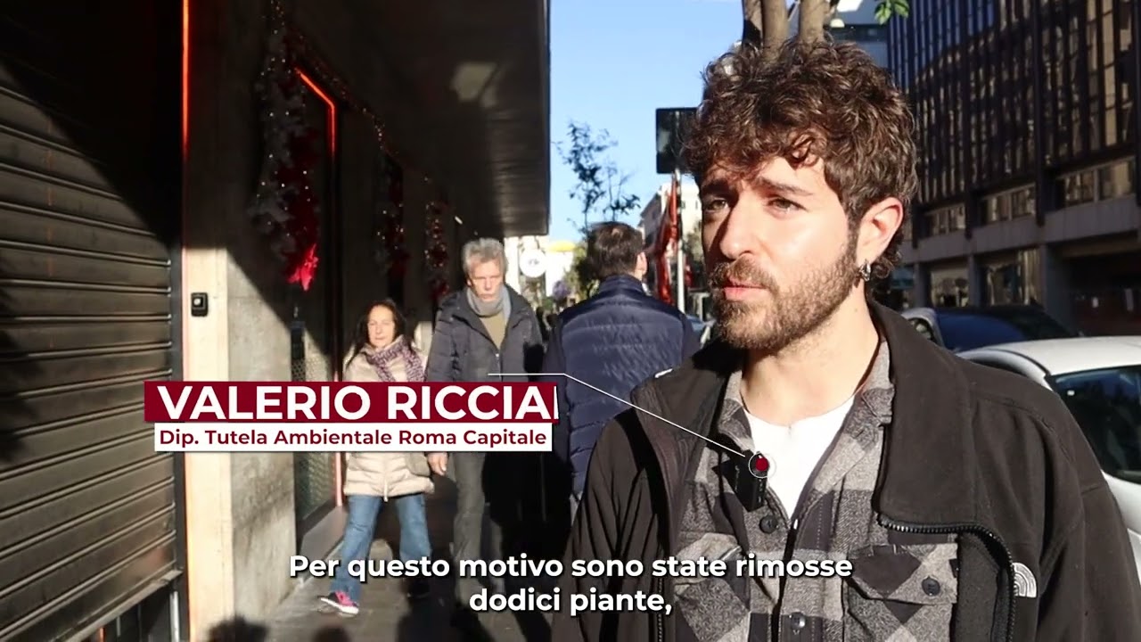 INFORoMA - Web TV - ROMA SI TRASFORMA: Nuovi alberi per le vie di Roma