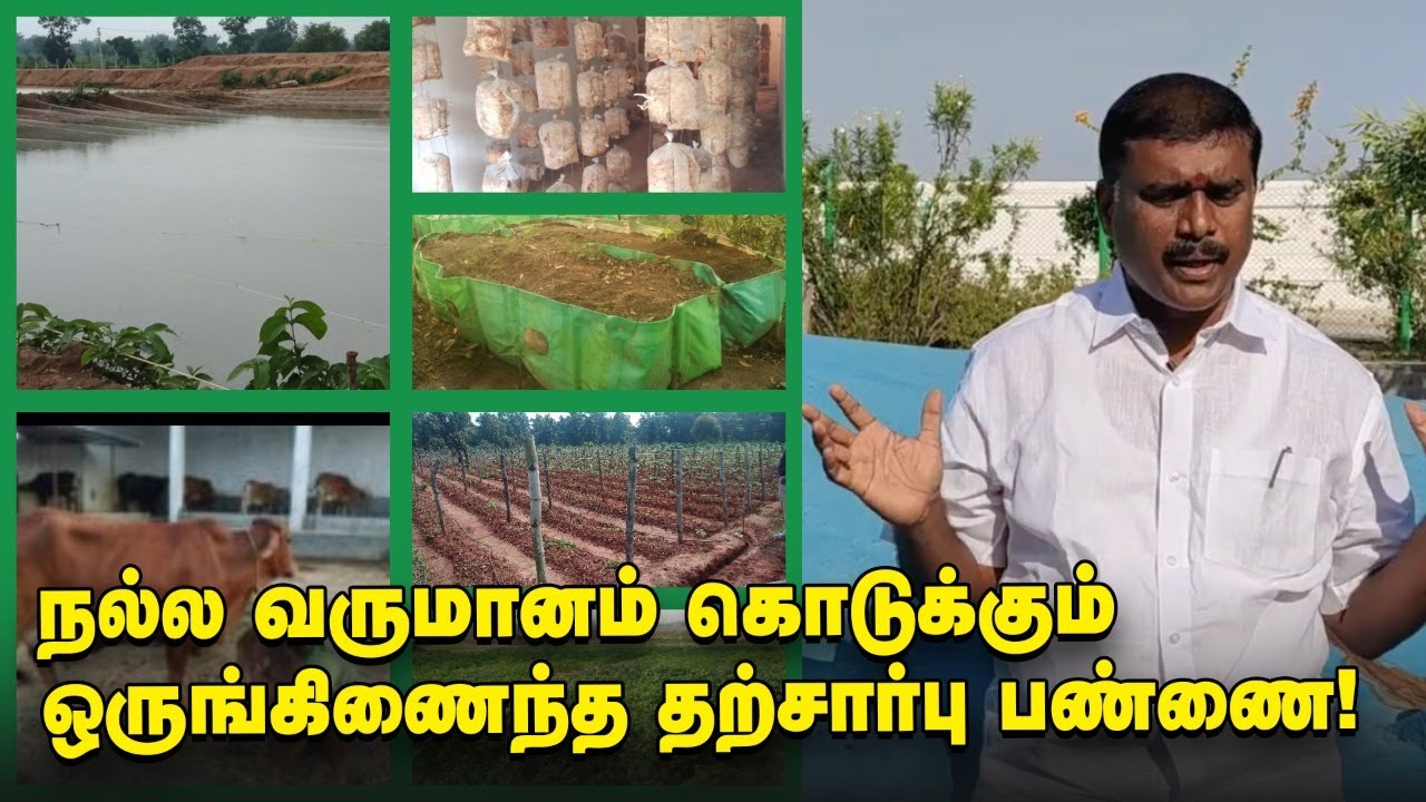 ஜே.சி குமரப்பாவின் வழியில் ஒருங்கிணைந்த தற்சார்பு பண்ணை - அசத்தும் முன்னாள் எம்.எல்.ஏ!