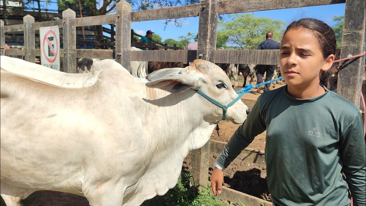 feira do gado de Buíque PE dia 07/03 2026