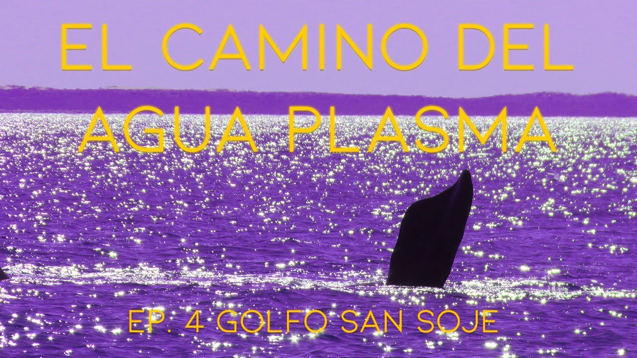 EL CAMINO DEL AGUA PLASMA |  EP. 4 Golfo San José