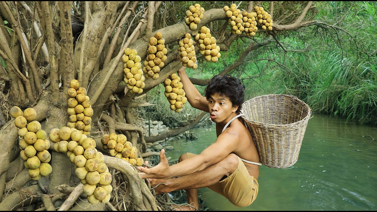 survival in the rainforest - crab Catching in River -longkong fruits grow in the forest