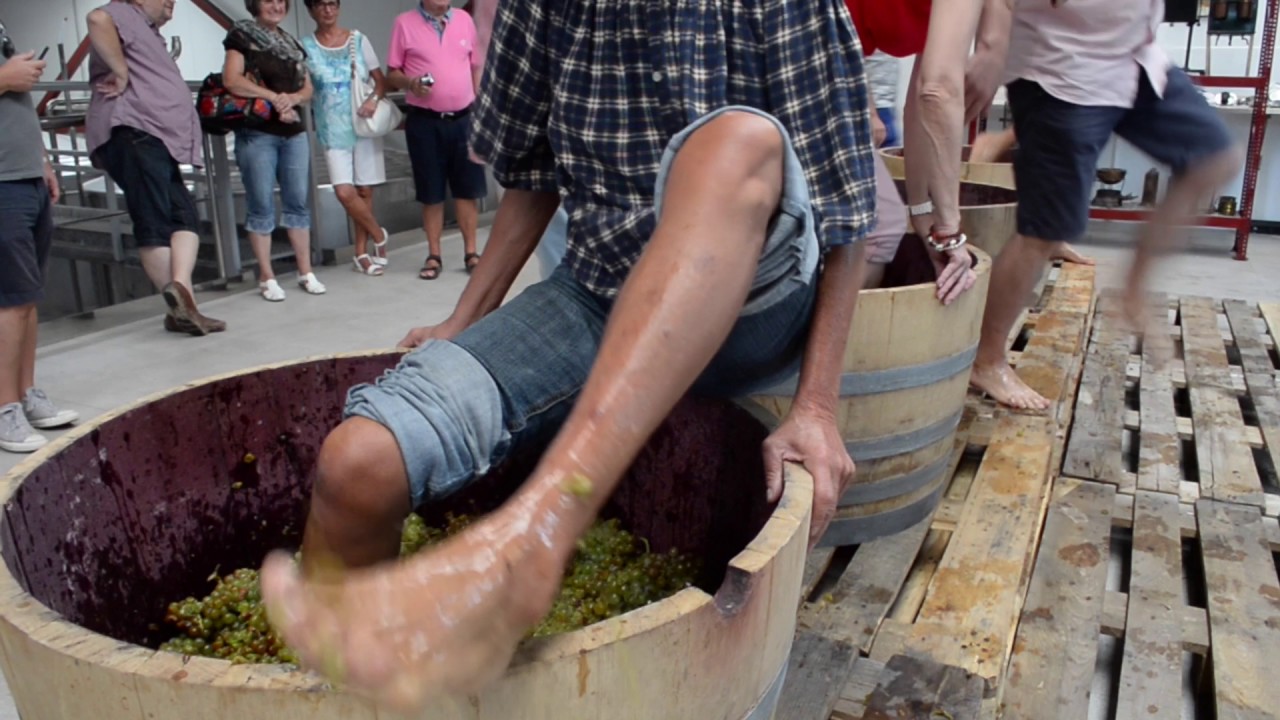 Enoturisme Bodegues Sumarroca