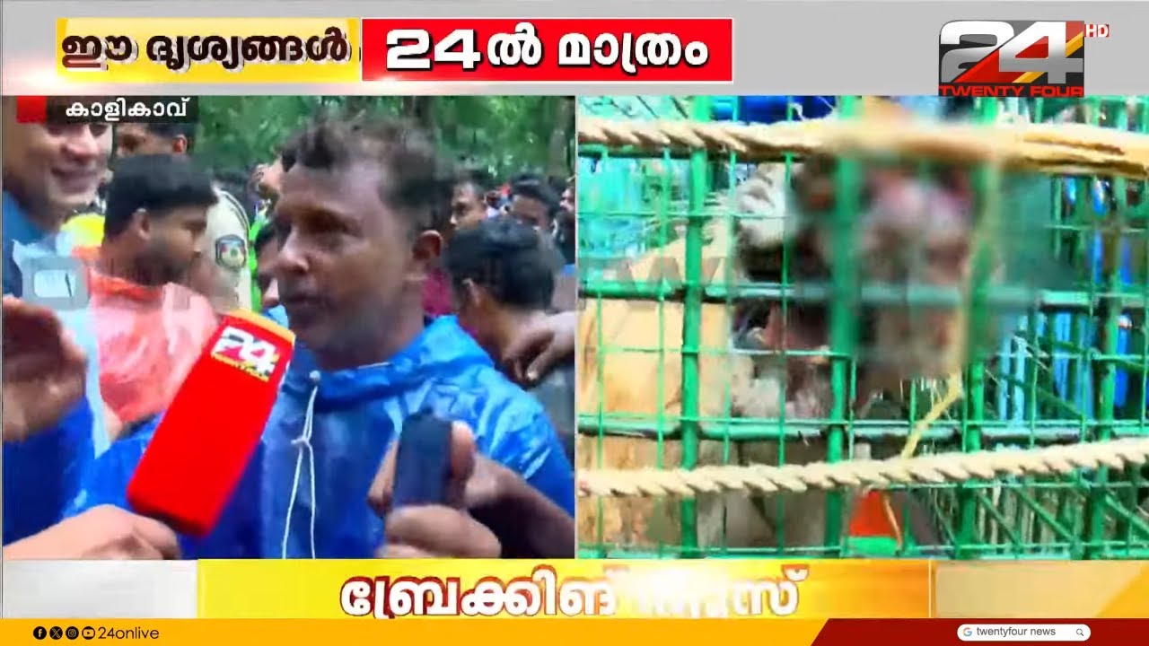 'നരഭോജികടുവയായി പ്രഖ്യാപിച്ച് വെടിവെച്ച് കൊല്ലണം,2 മാസമായി ജോലിക്ക് പോവാൻ കഴിയുന്നില്ല' | Kalikavu