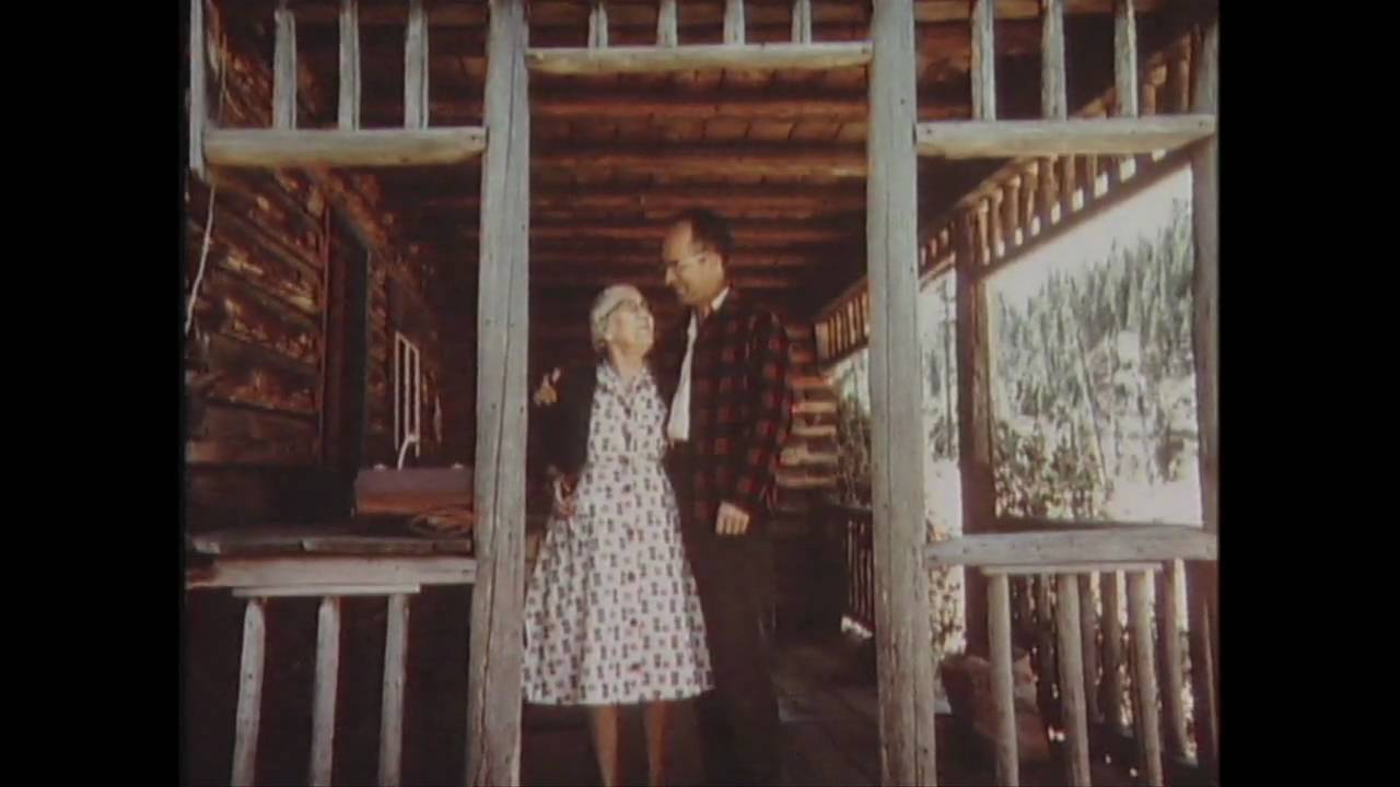 Aaron Shearer: A Life With The Guitar HD Geese for a Guitar - Michael Lawrence Films