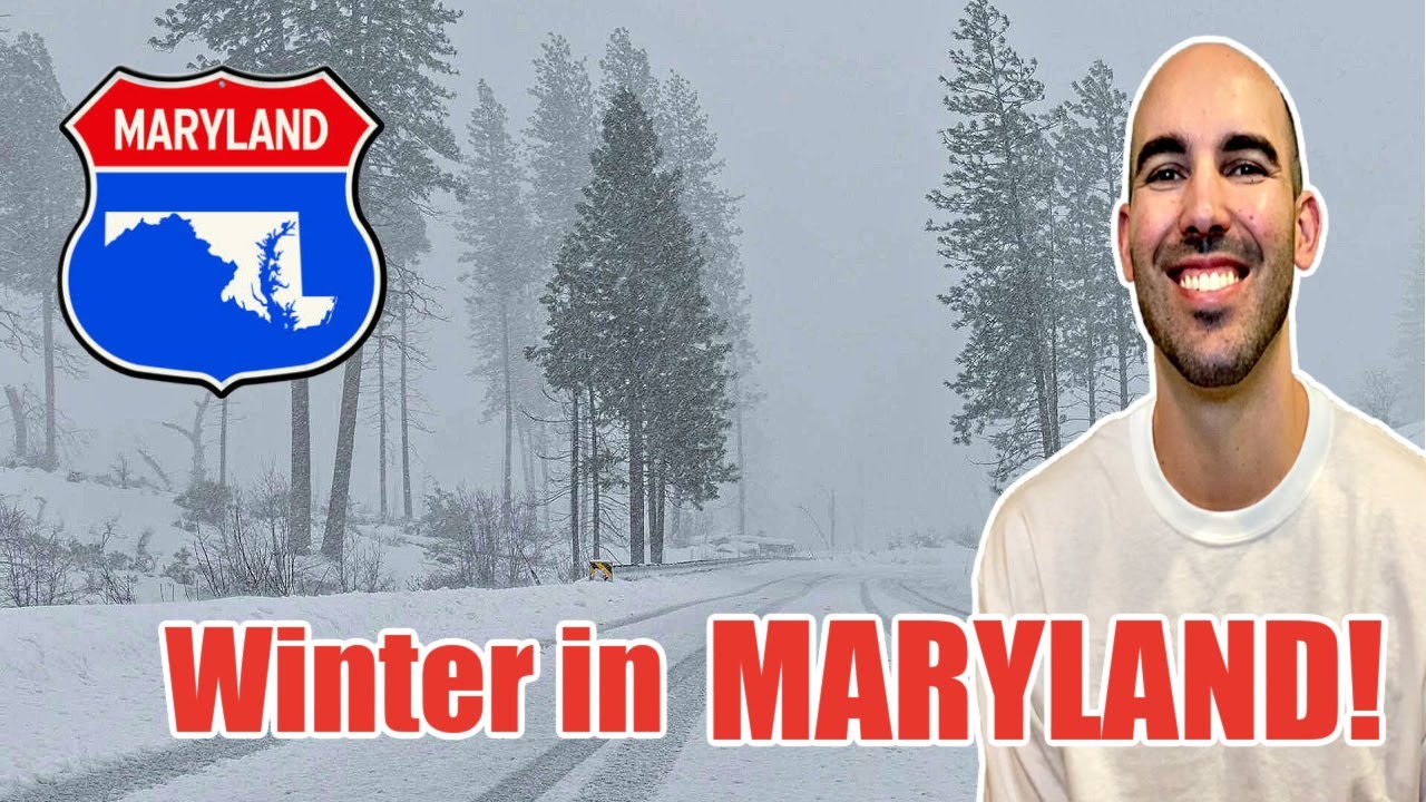 Snowed In: What a Major Winter Storm Looks Like in Maryland