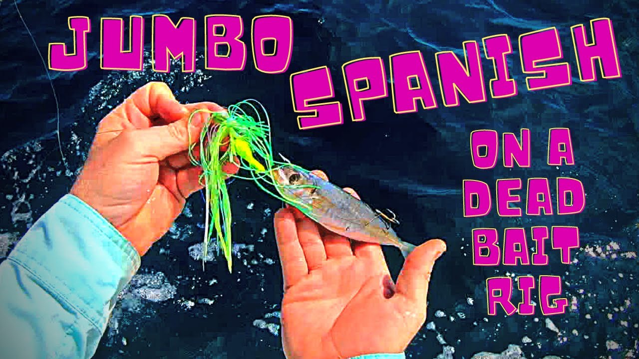 Oak Island Jumbo Spanish Mackerel on a Dead Bait Rig
