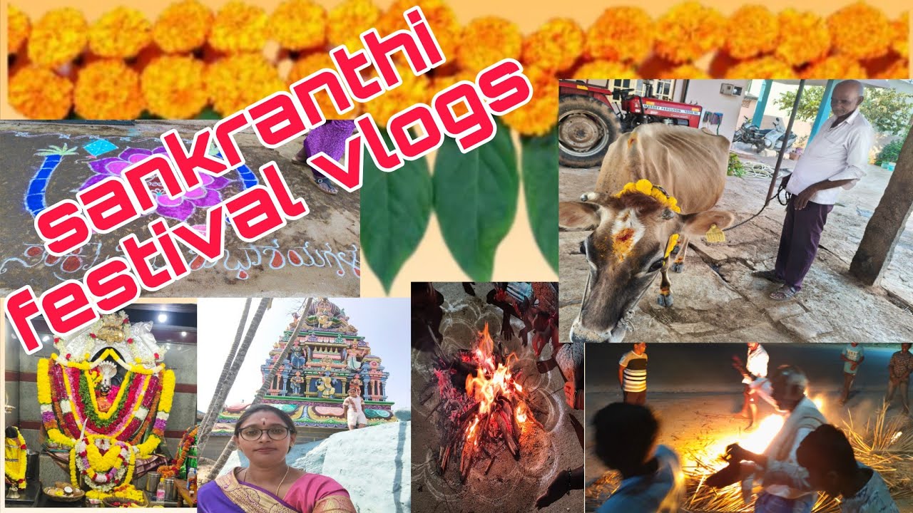 Sankranthi festival vlog 