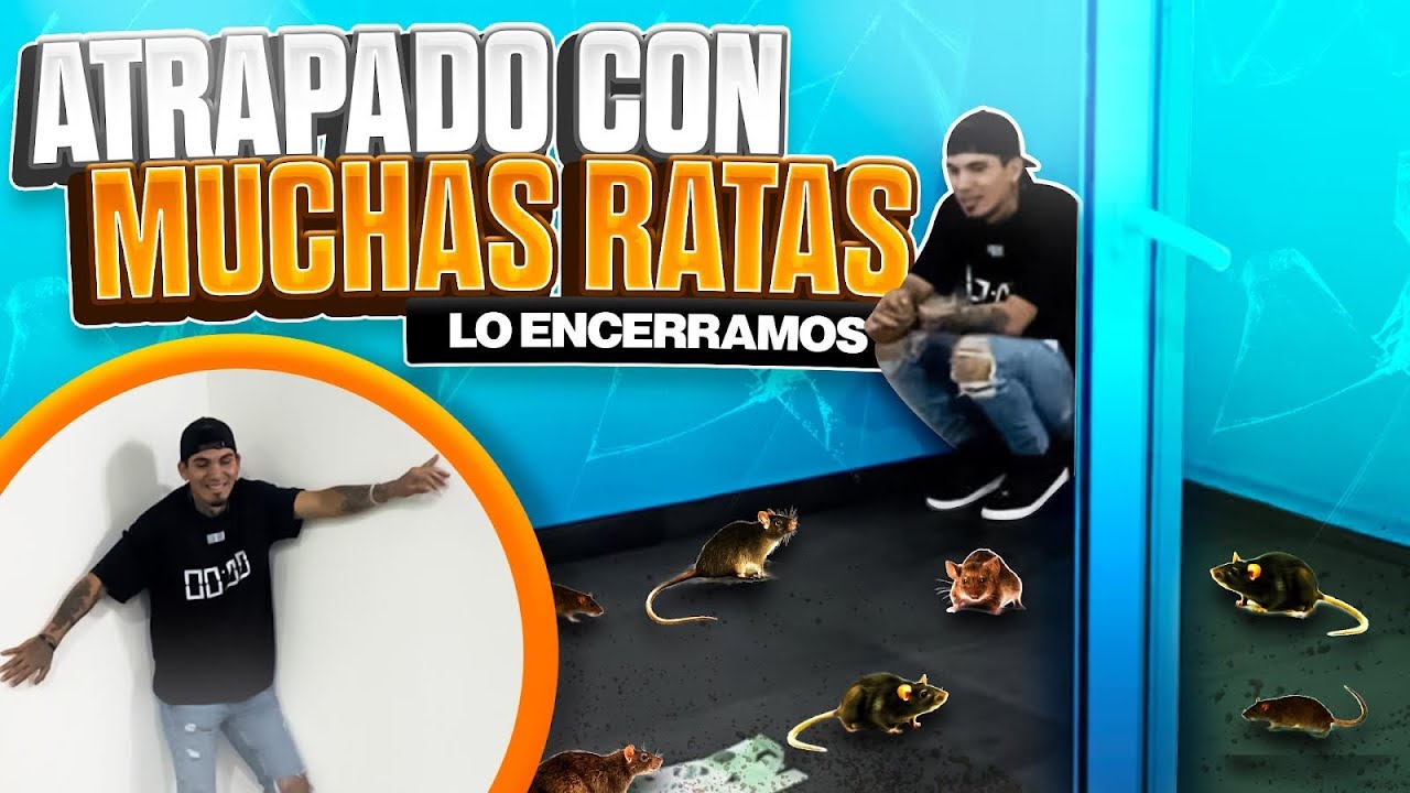 24 HORAS EN EL PATIO LLENO DE RATAS 🐀🐀 // nunca va a superar este día 😂
