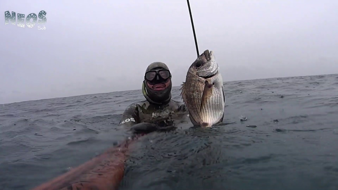 Pesca in Apnea nel Salento, 10 mt  o poco più!