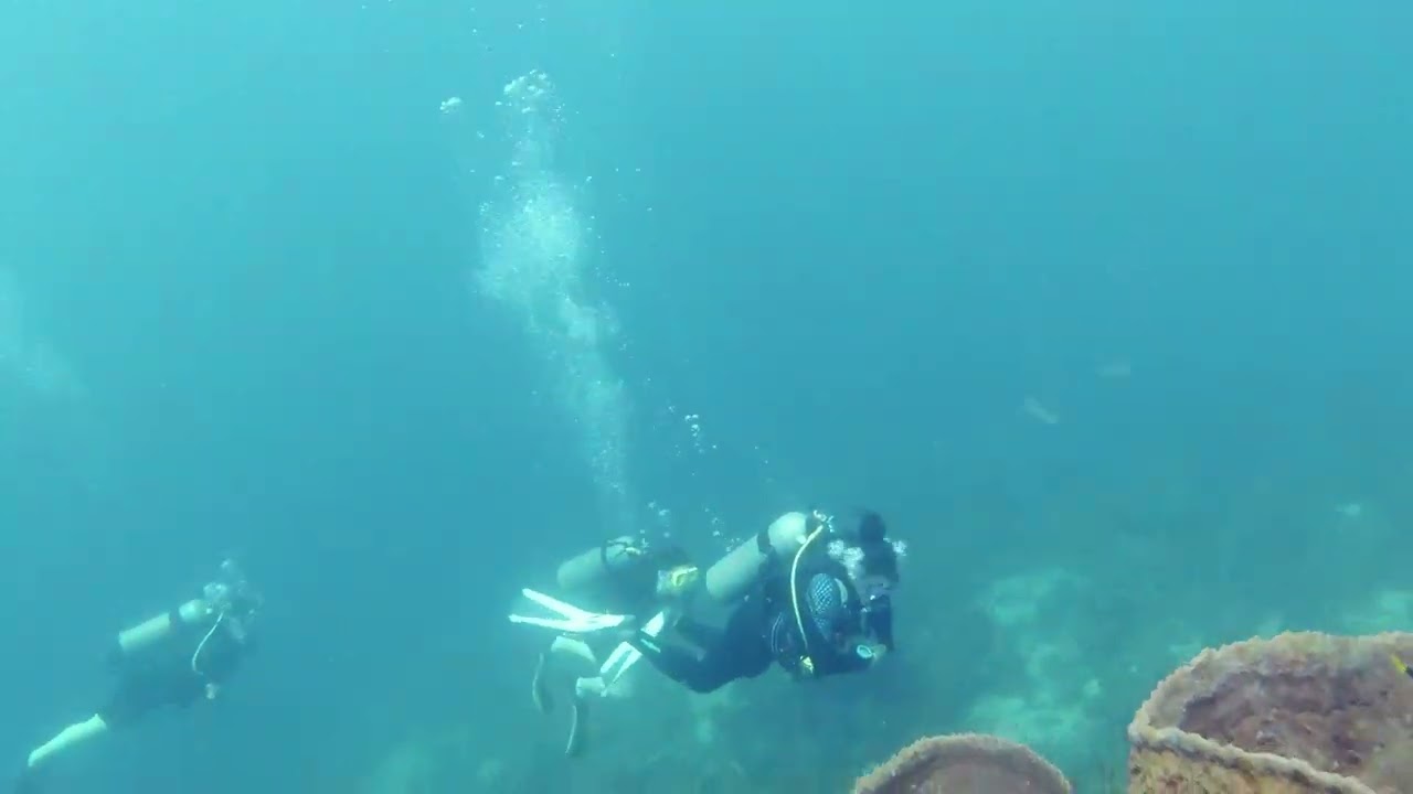 Dominica - SCUBA Diving - Nature Island Divers