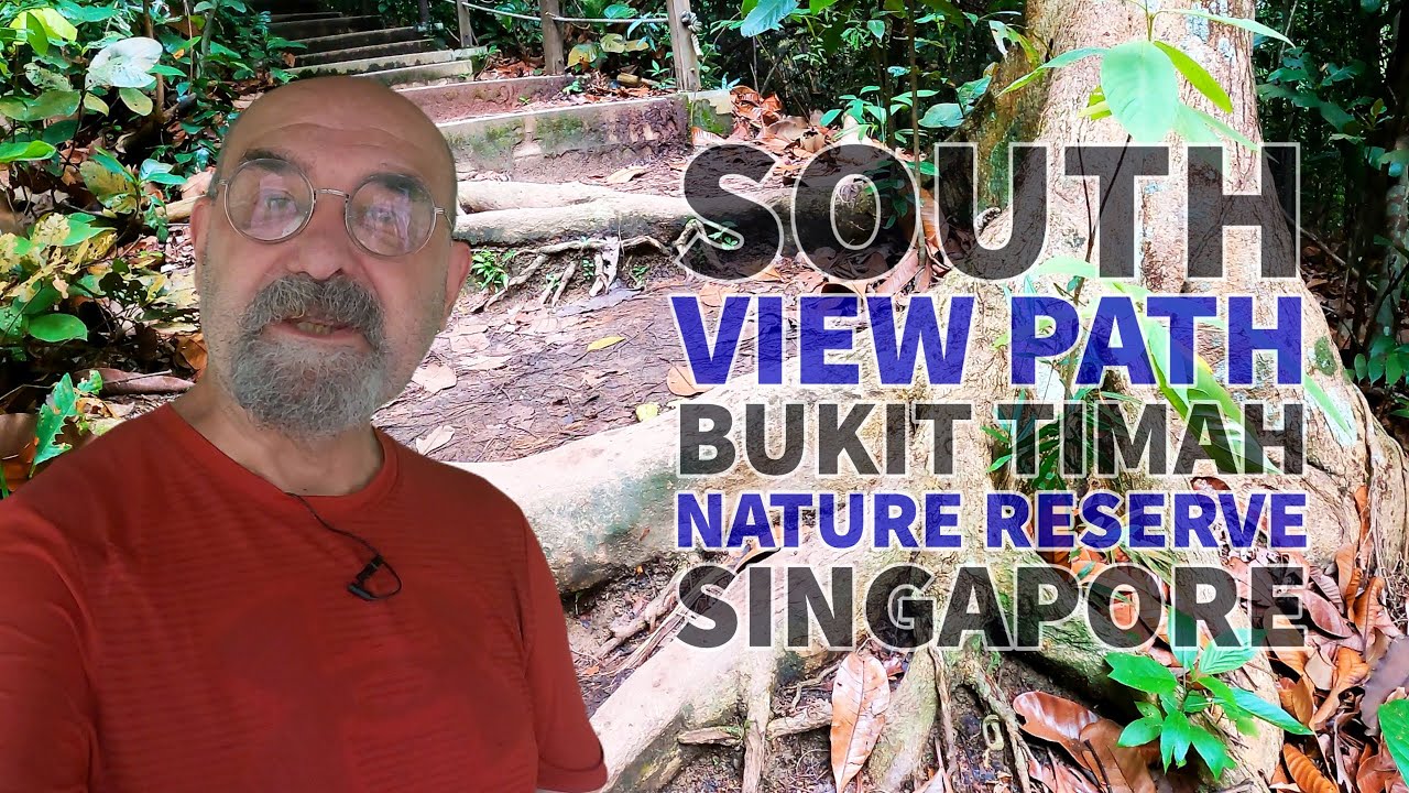 Hiking the South View Path, Bukit Timah Nature Reserve, Singapore