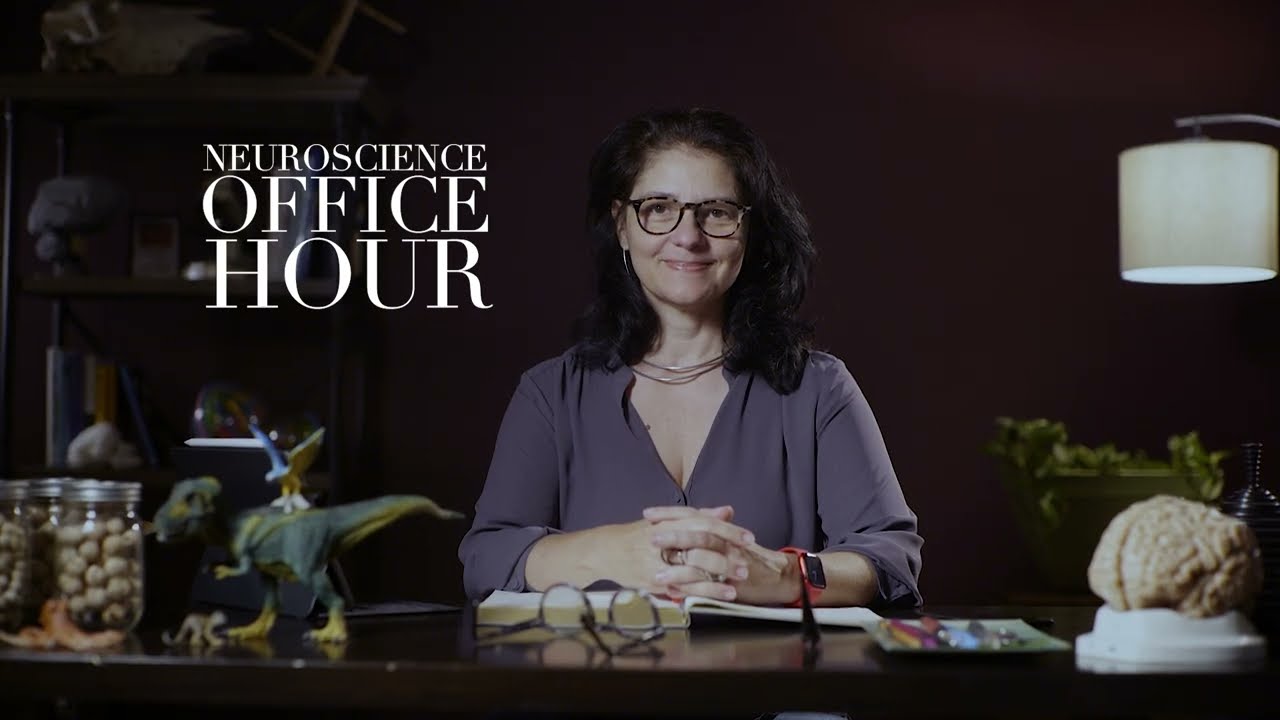 DOPAMINE, MEMORY AND WHY WE PLAY
