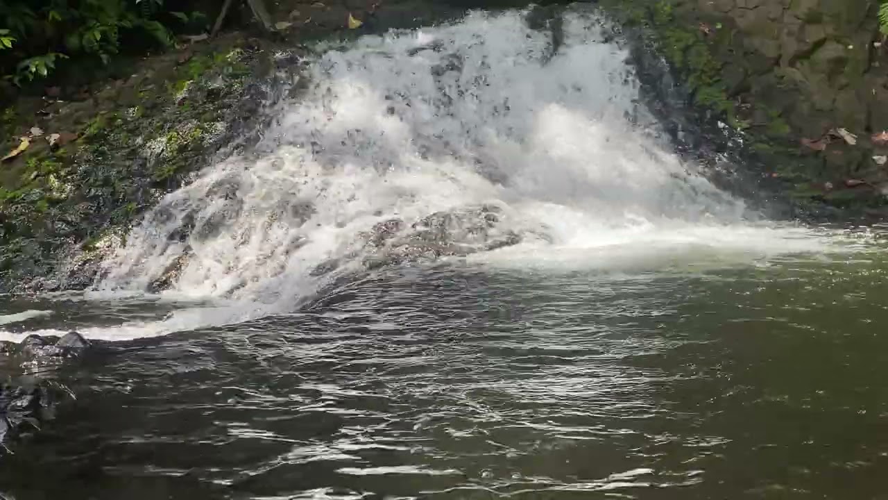 🌿 Vahi Waterfalls 2 – Tahiti 🌿