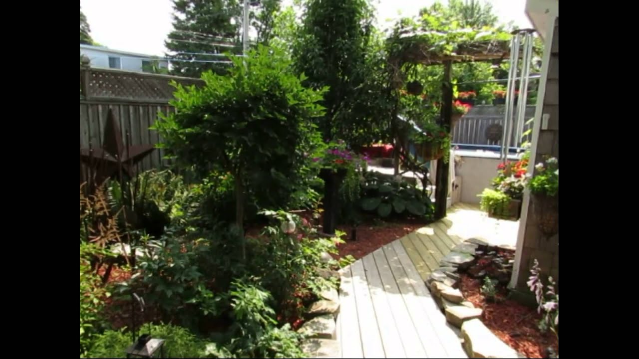 My Backyard Garden Tour - July 2014 - Mike Laking