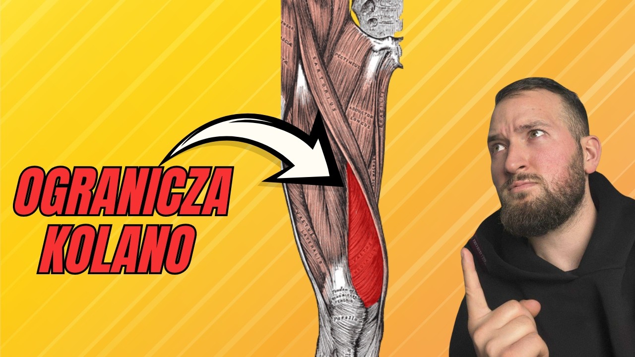 TEN MIĘSIEŃ OGRANICZA ZGIĘCIE KOLANA | Biomechanika kończyny dolnej | Biomechanika