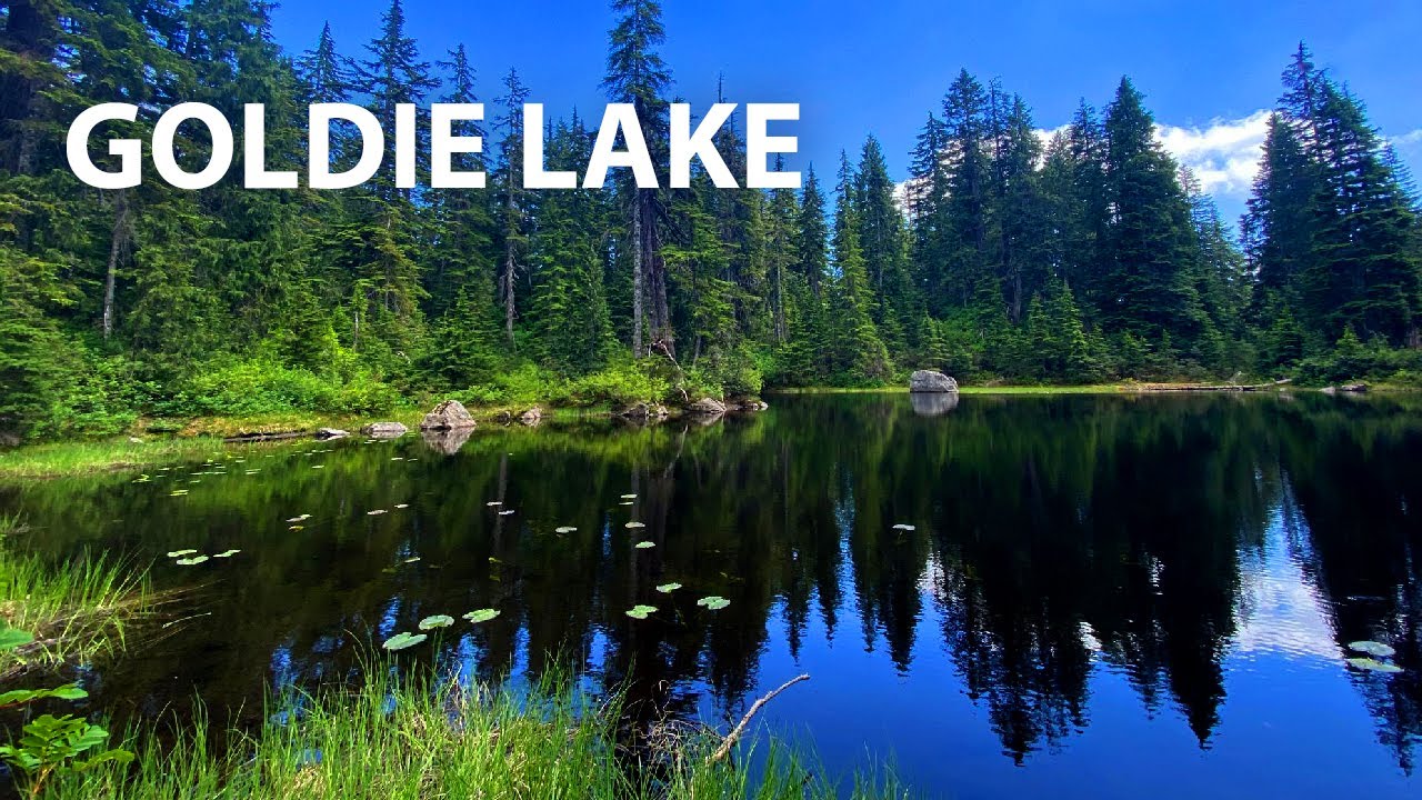 Goldie Lake, North Vancouver BC Virtual 4K hike
