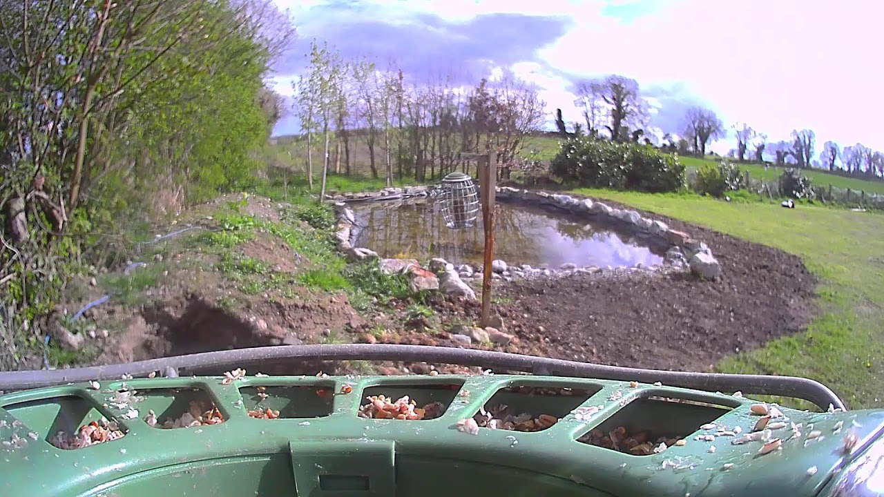 Carlow Weather Live Stream #BirdfyLive