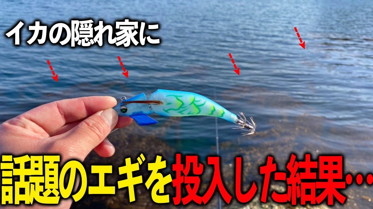短時間でエラいことに…。話題のエギ実釣力検証〜首が動く異端なエギは本当にイカが釣れるのか〜