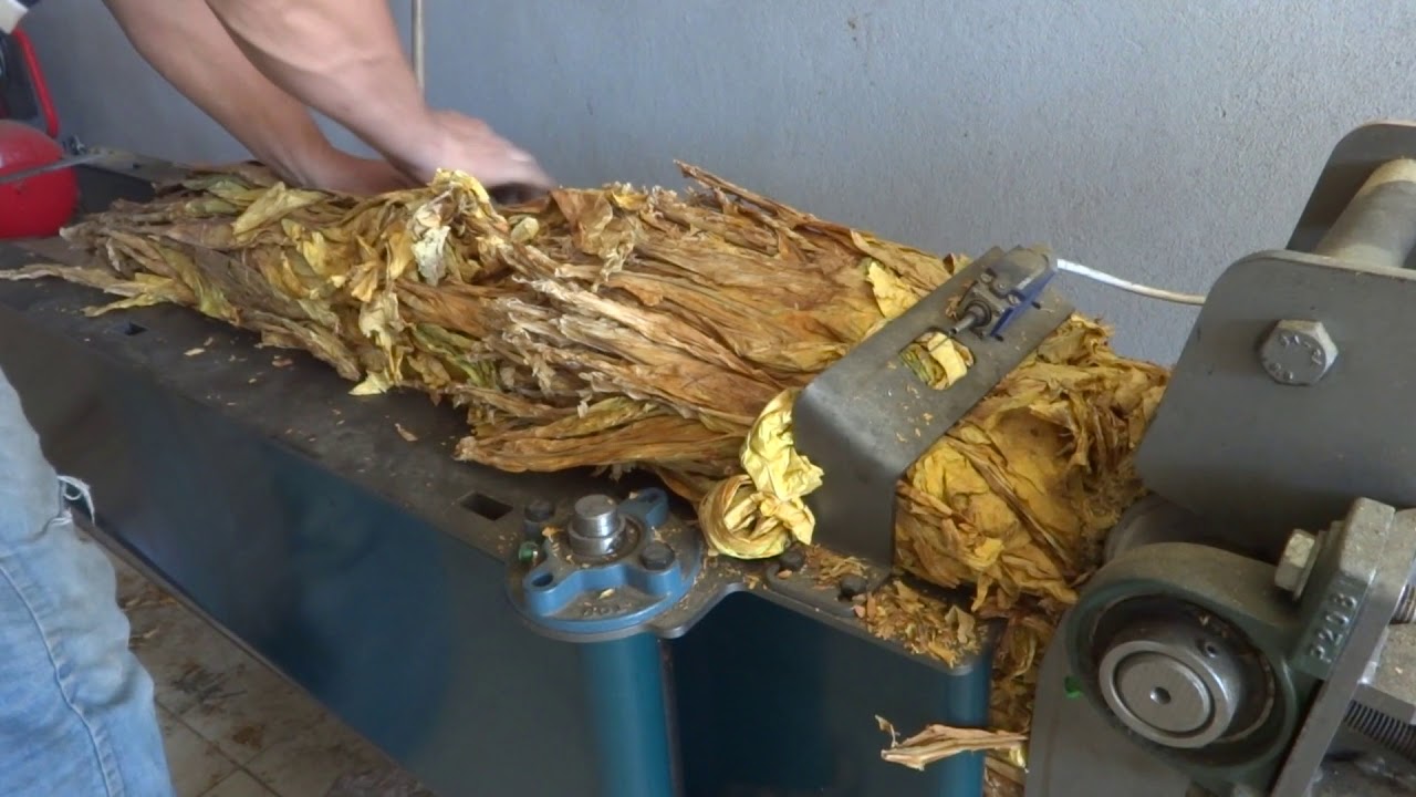 TÜTÜN  DOGRAMA  MAKiNASI - TOBACCO CUTTING MACHINE GÖVDELi  MALATYA  TÜRKiYE 2019