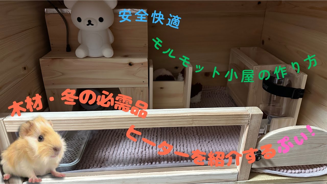 安全快適なモルモット小屋の作り方～木材と冬のヒーターを紹介するぷい！～