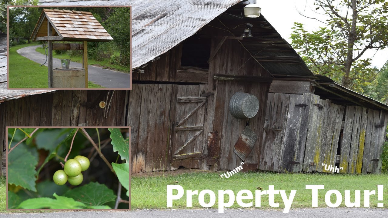 The Alabama Homestead Property Tour