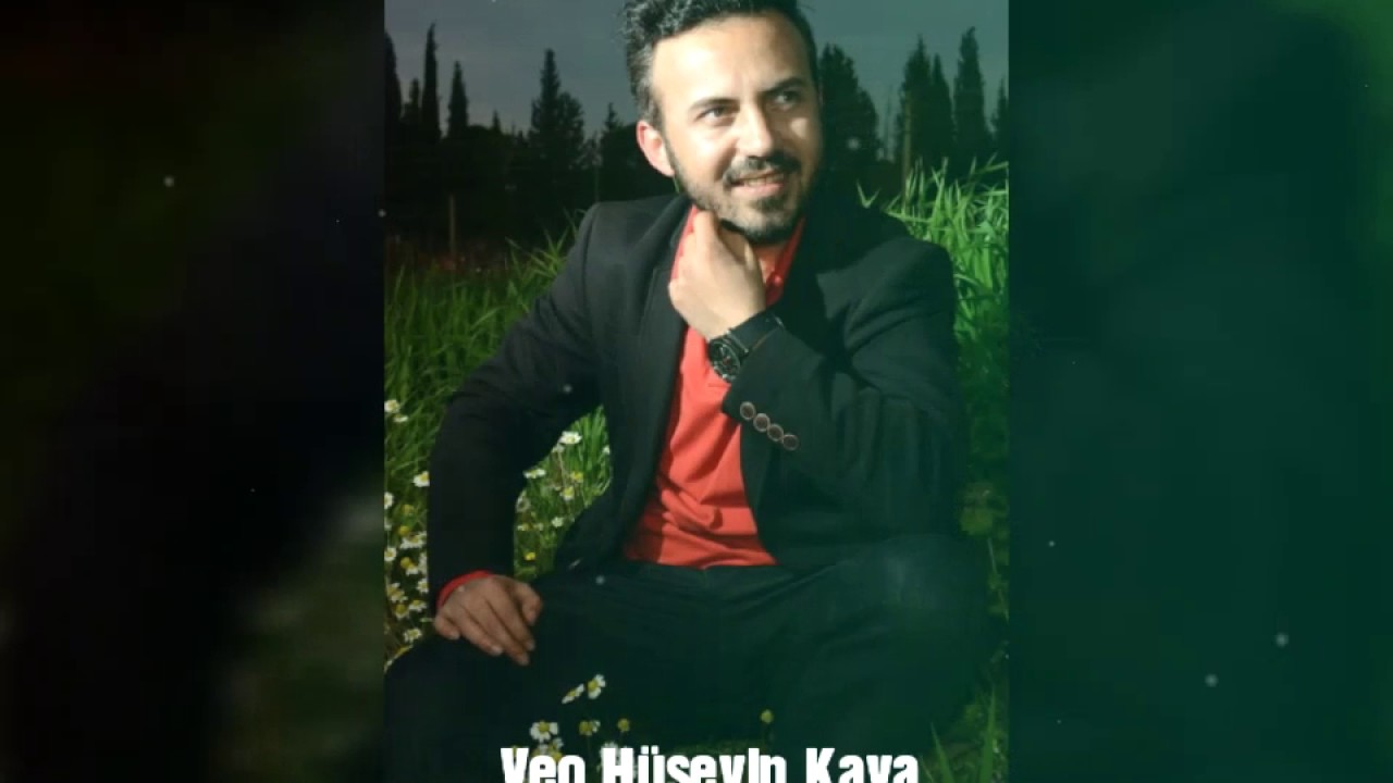 Veo H&uuml;seyin Kaya -komikses veo slayt