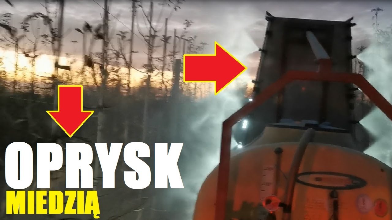 Sadowniczy Vlog #71/ Oprysk sadu miedzią