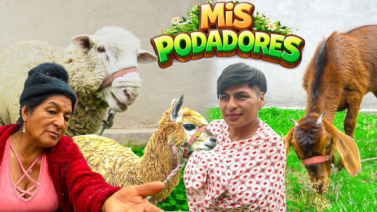 MIS ANIMALES PODARON EL CÉSPED | Señora Marianita ft, Elvia Maji, Rommel Racp