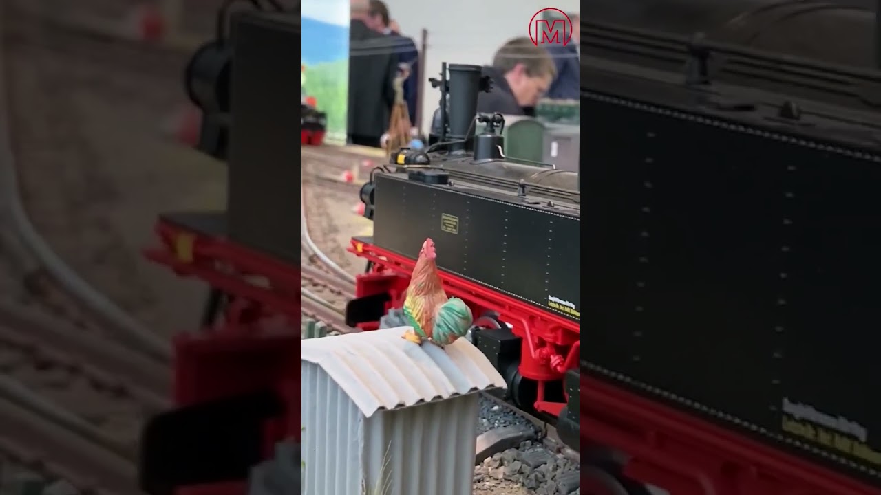 Dampflokomotive BR IV DR, Epoche III | Digitale Soundlok mit Dampfaussto&szlig; | Mandrops  #LGB #SpurG