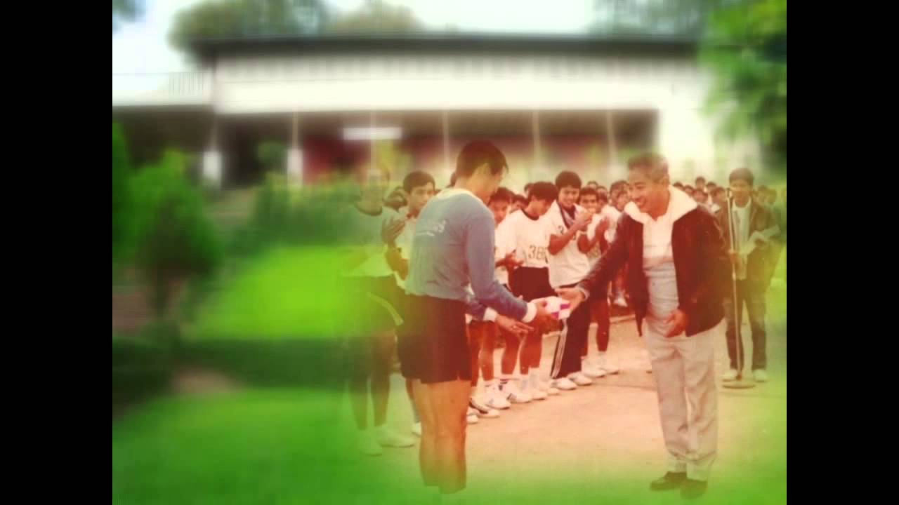 ป่าไม้แพร่ (24พย.55)