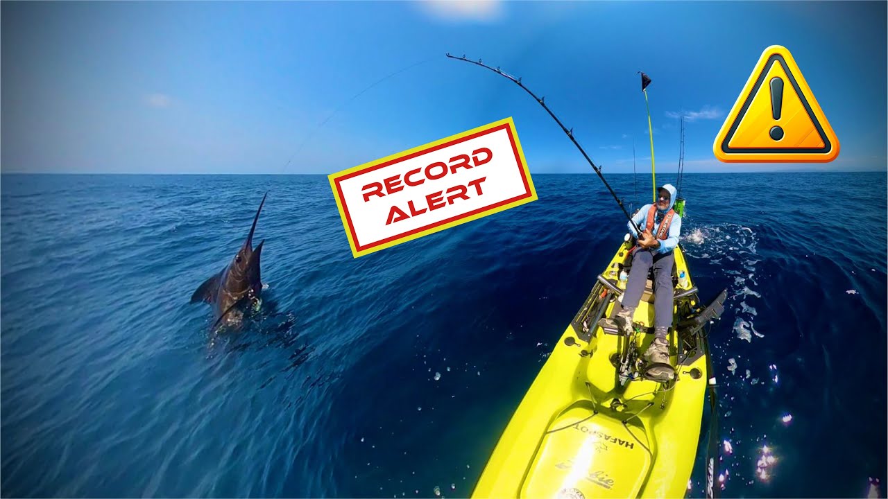 Marlin Azul Gigante arrastra mi Kayak, nuevo record personal casi 300 libras de peso.
