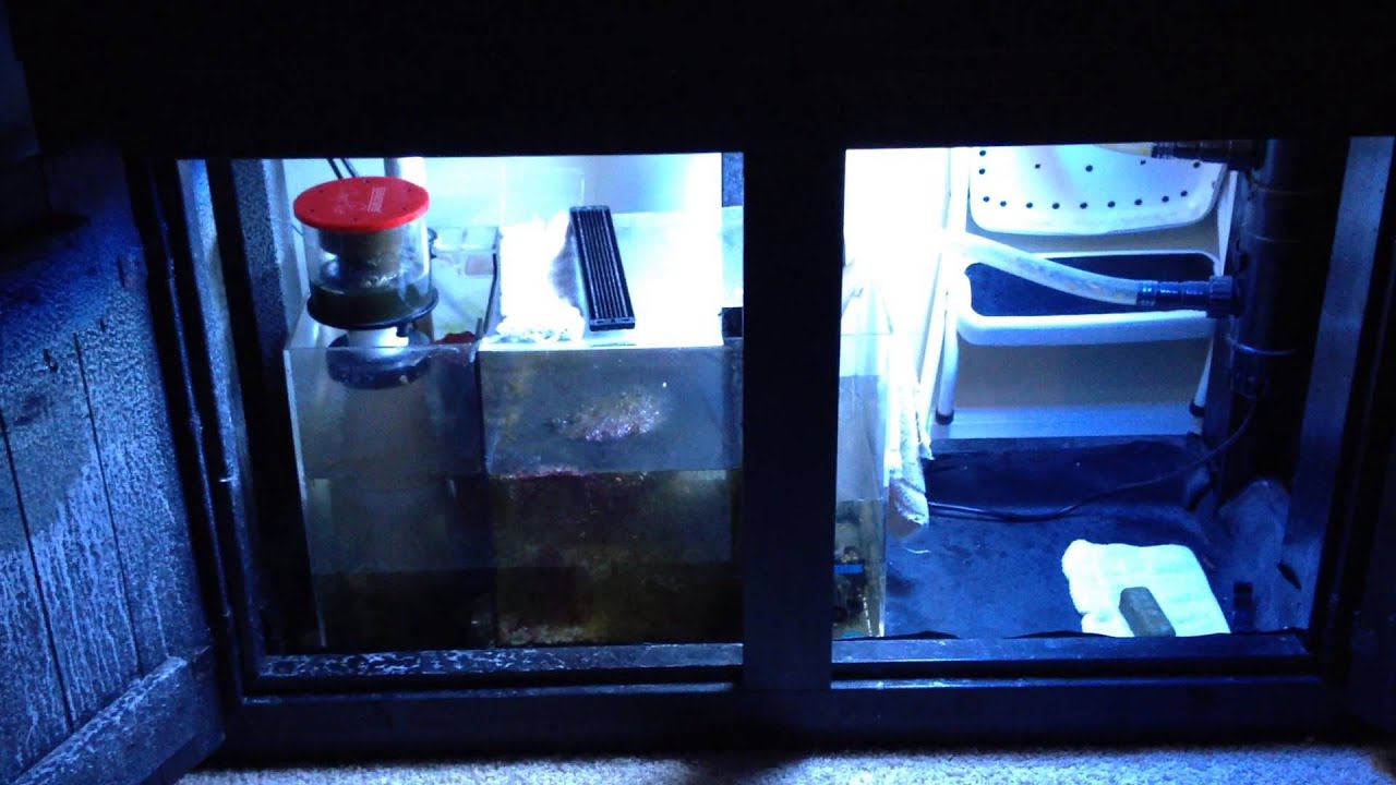 Miracle Mud 5 Month Update