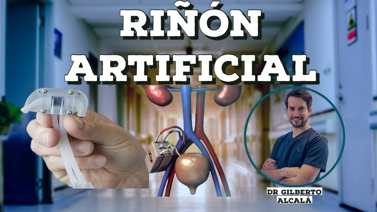 RIÑON ARTIFICIAL | MEDICINA APLICADA
