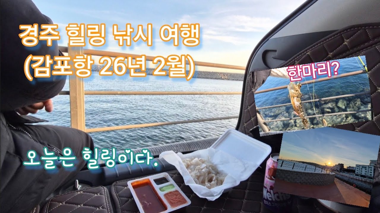 경주 낚시 여행(감포항, 26년 2월)
