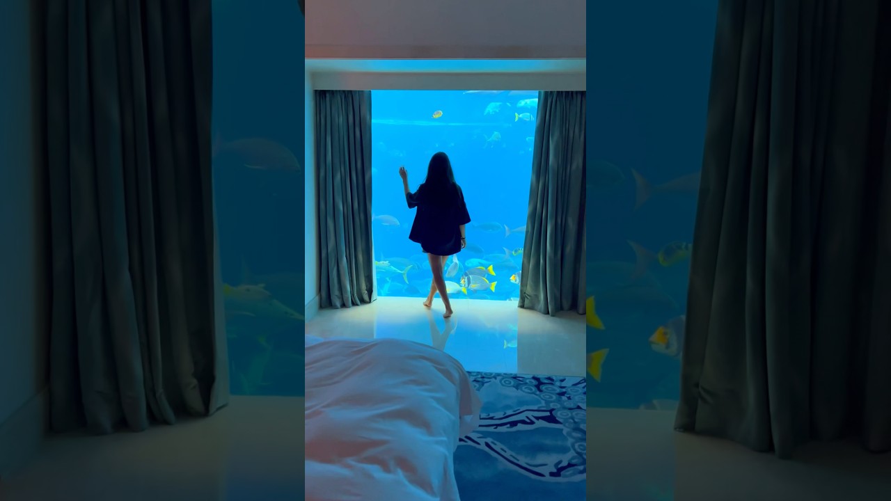 Living the dream in this suite!💭 