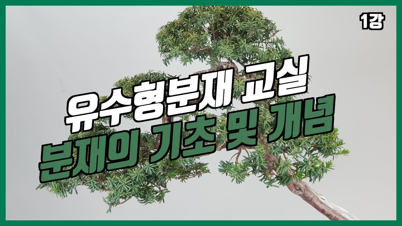 [유수형 분재교실 특강] 분재의 기초 및 개념 1강 What is bonsai? (Bonsai basics)