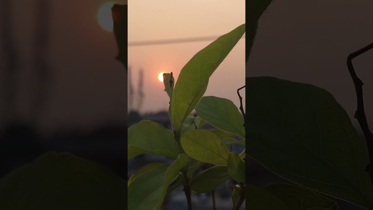 Beautiful evening before azan.