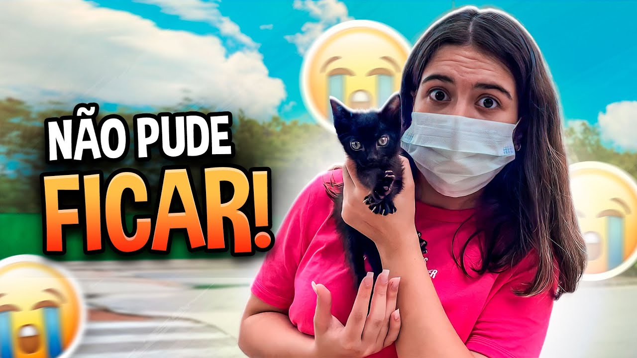 CUIDANDO DE UM GATINHO ABANDONADO!