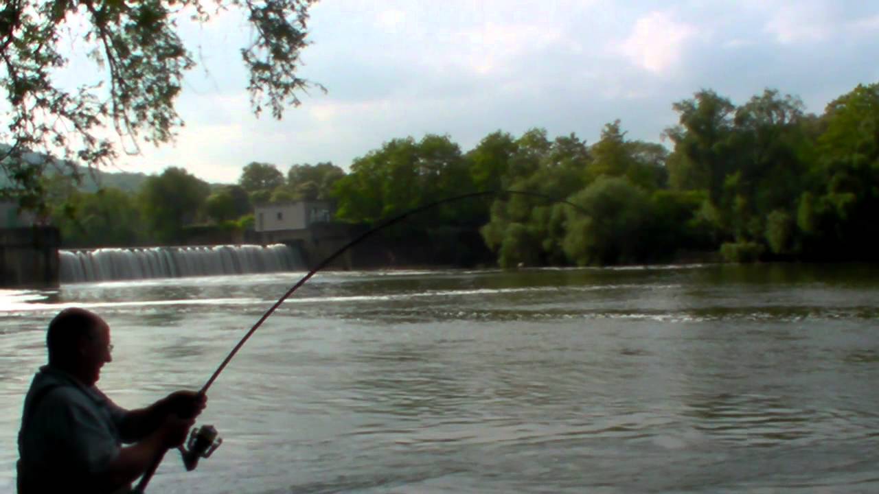 Blinker-Waller ...239cm...Hammer!!! - www.blinker-joerg.de