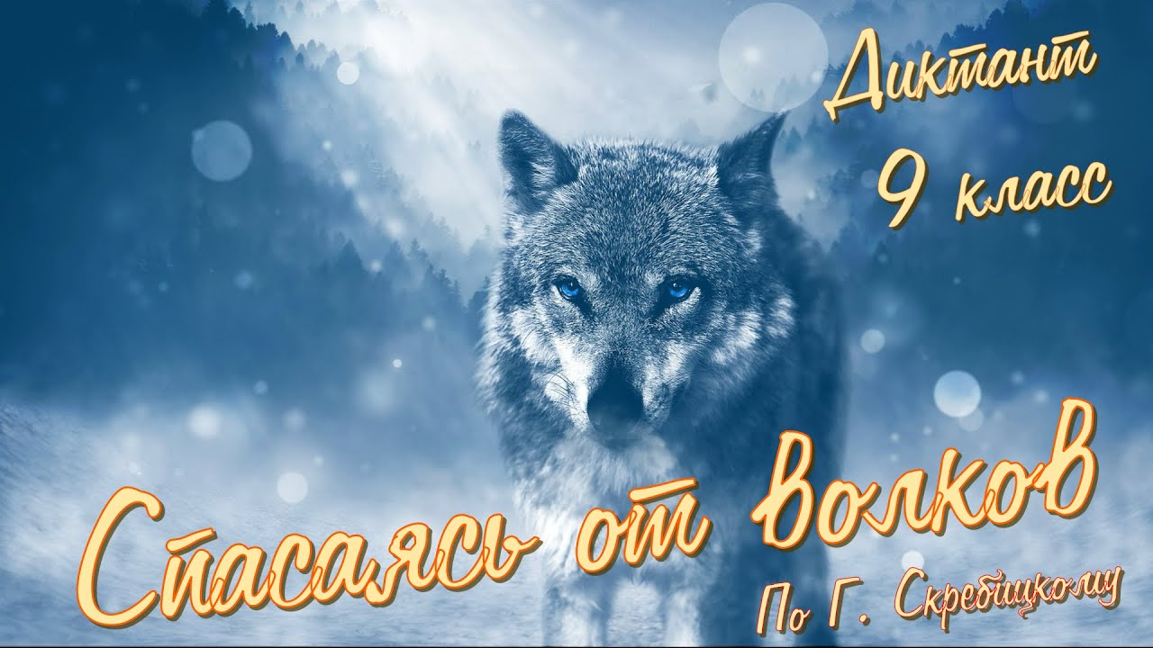 Диктант по русскому языку с проверкой! 9 класс. Спасаясь от волков #диктант9класс #диктант