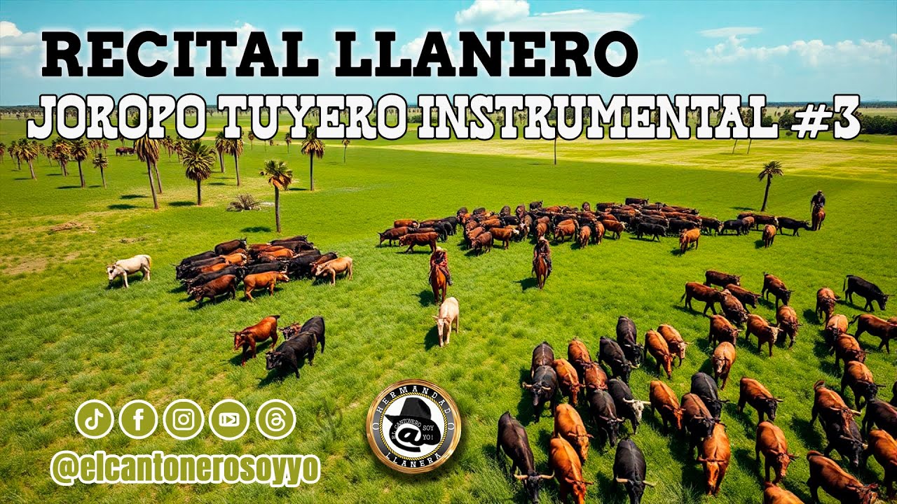 Recital llanero | Joropo | Arpa, Cuatro y Maracas | Joropo Tuyero Instrumental | Vol 3