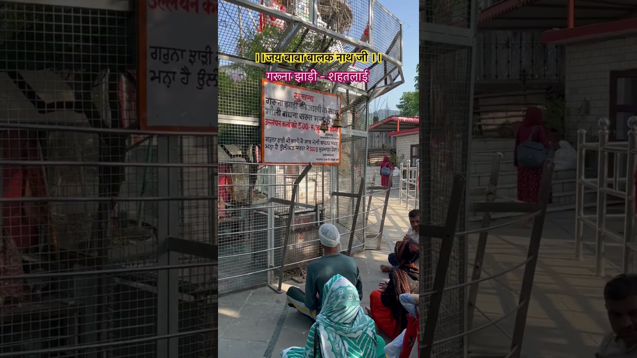 Gurna Jhari Shahtalai | Baba Balak nath Temple #shorts #youtubeshorts #shortvideo #ytshorts #travel