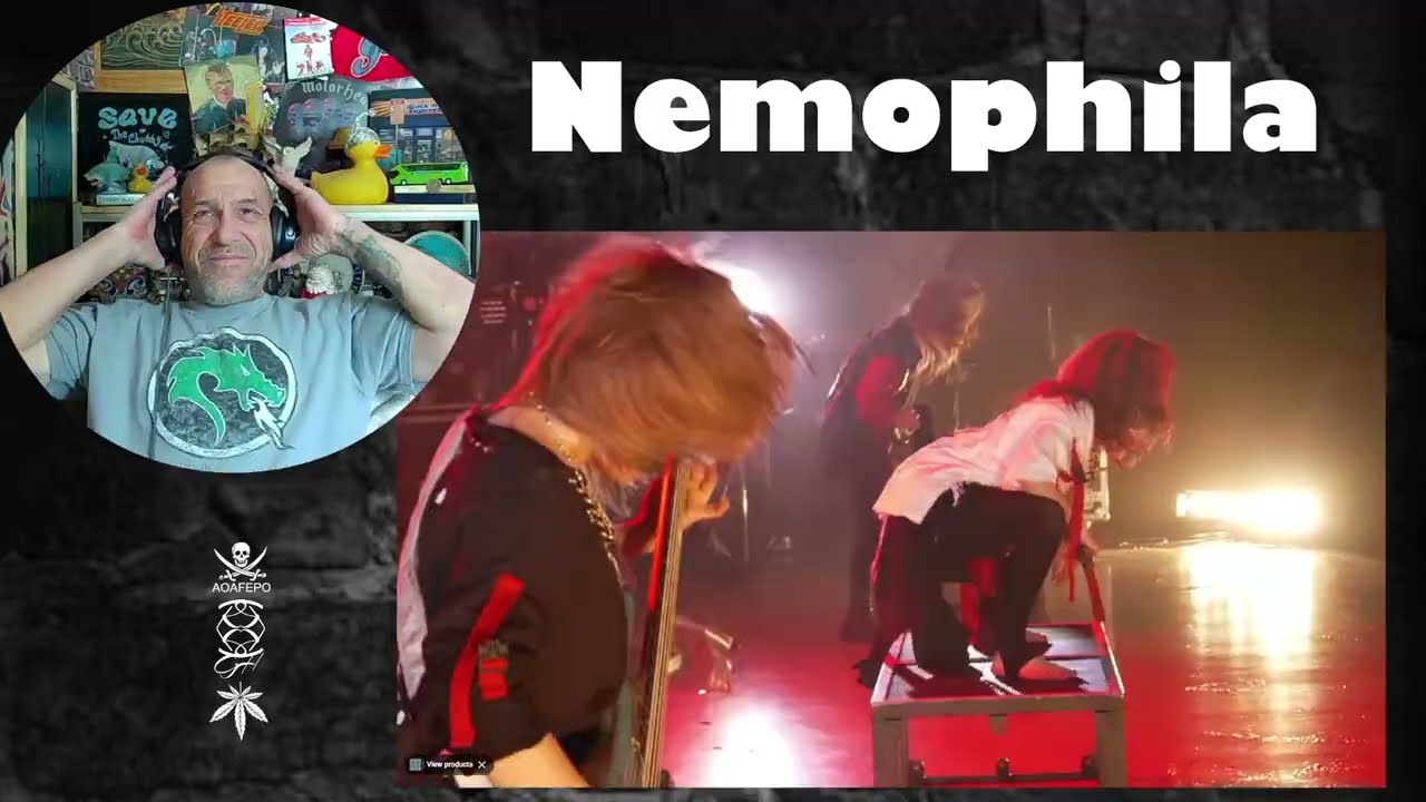 Nemophila - (Sic) - Реакция на Роллена (первое прослушивание)