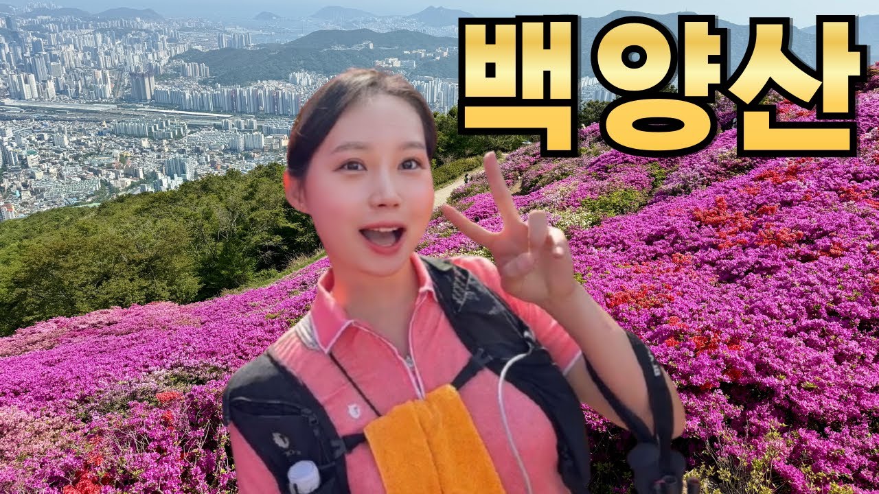어린이대공원에서 백양산 정상까지, 지금 걷기 딱 좋은 코스 공개! l 철쭉군락지 l 선암사 임도 하산 l 이 코스 모르면 봄 백양산 반도 못 본 거예요