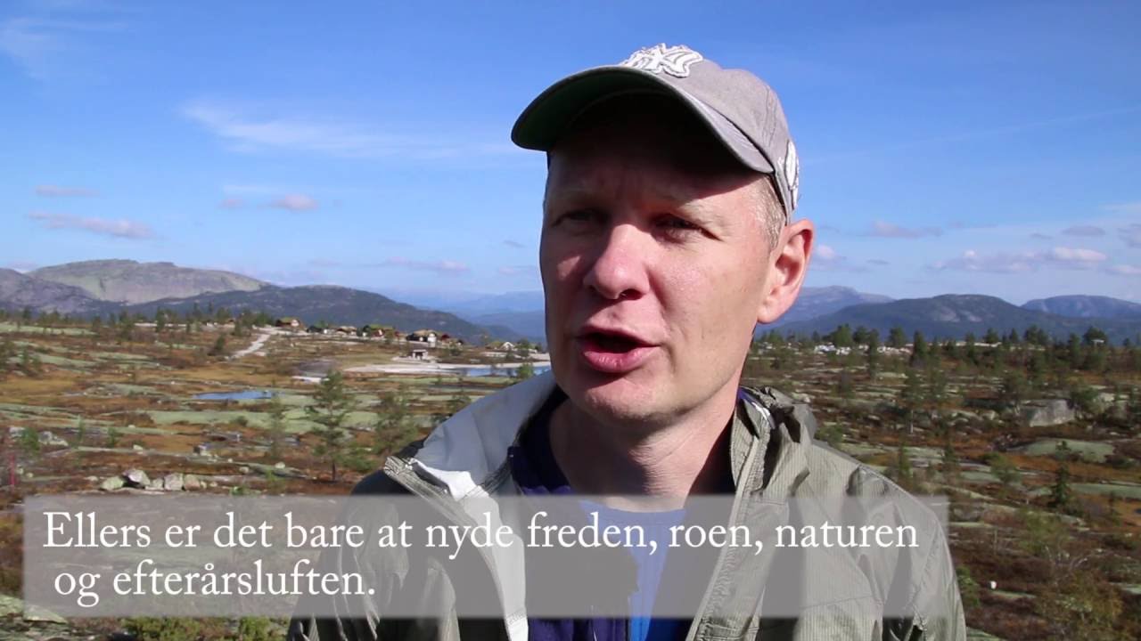 Naturopplevelser i Vr&aring;dal