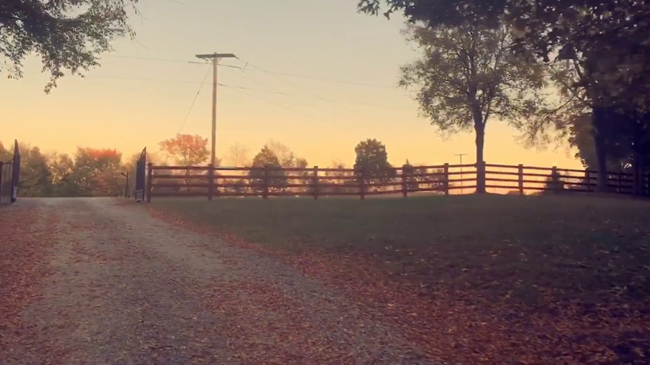 Our Pitbull Training Facility Entrance