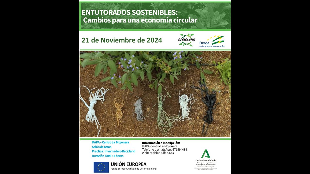 Jornada: Entutorado Sostenible cambios para la Economía Circular – Webinar 21nov2024 -