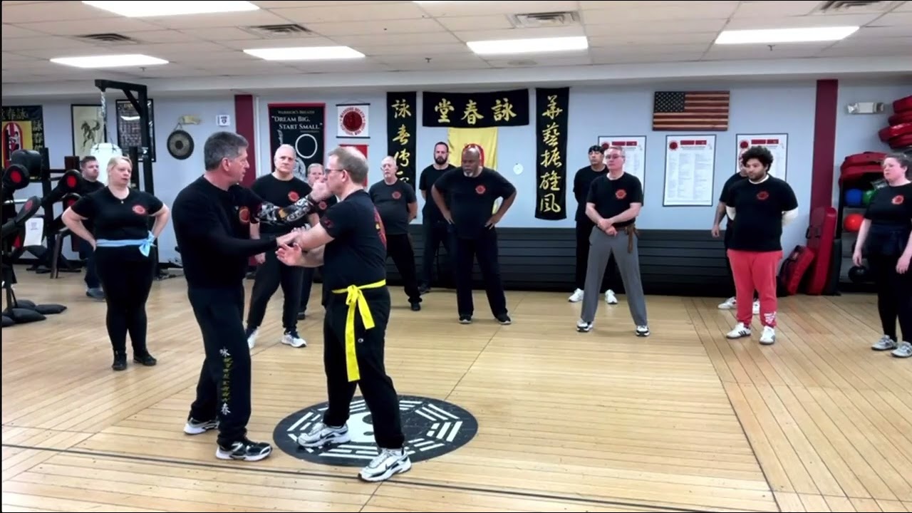 Wing Chun - Fluidity Drill #shorts