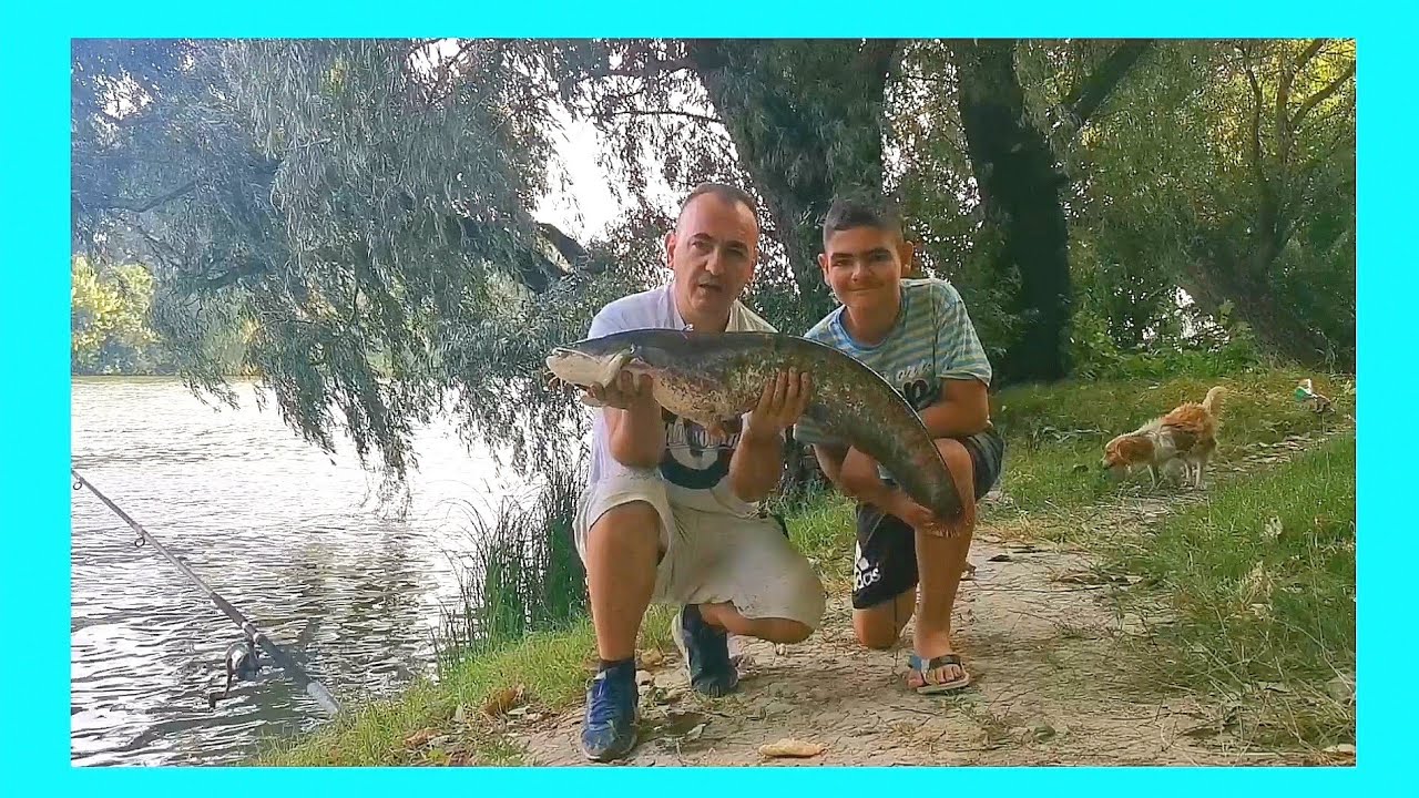 Pecanje na Dunavu kod Smedereva.. 13-14.07.2021.